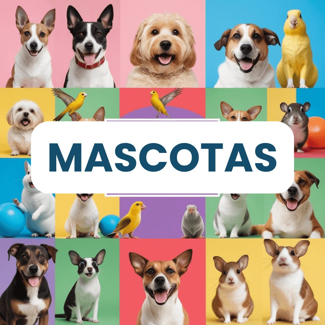Mascotas