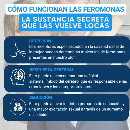 Atrae todas las miradas y enciende su deseo con dos aplicaciones al día